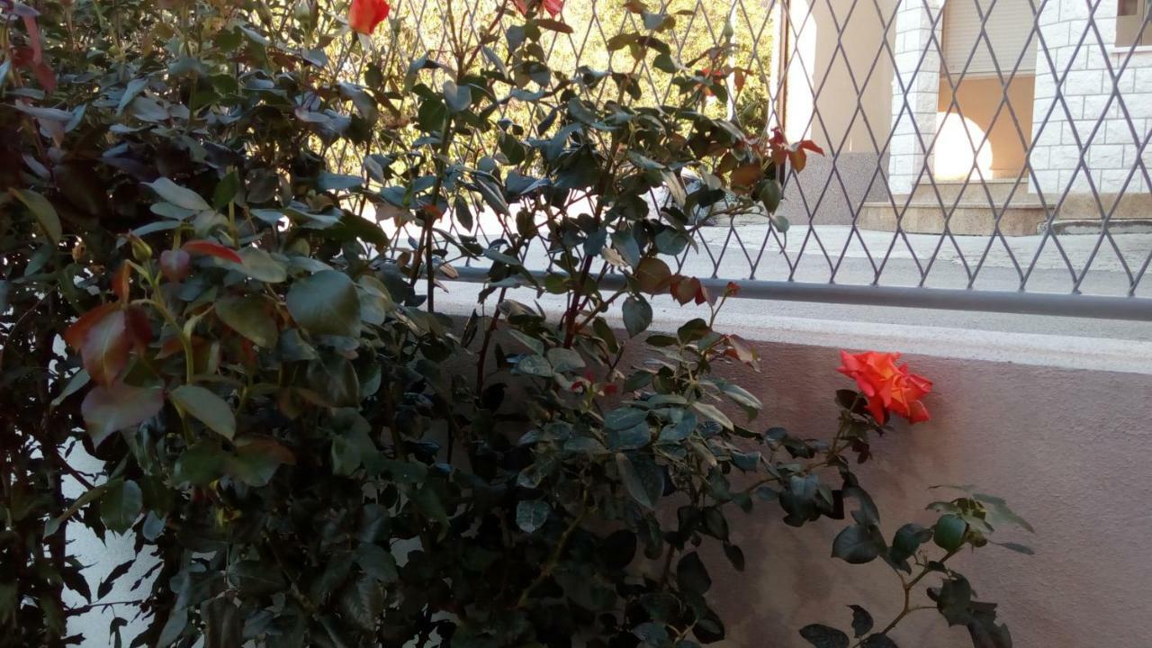 Sunce Podstrana